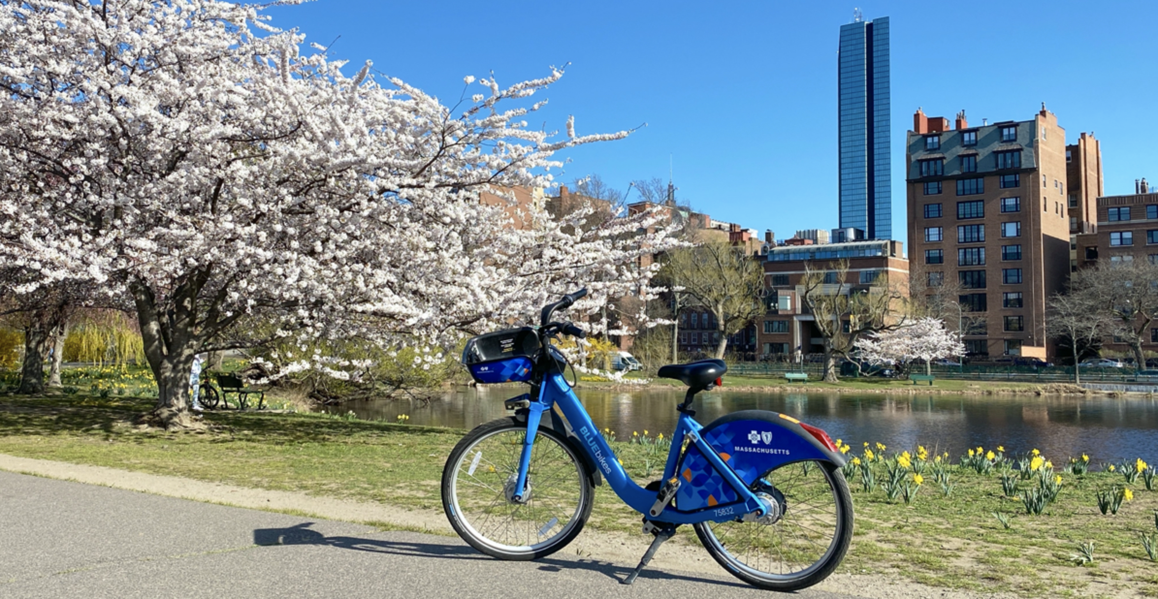 Blue Bike Free Sunday