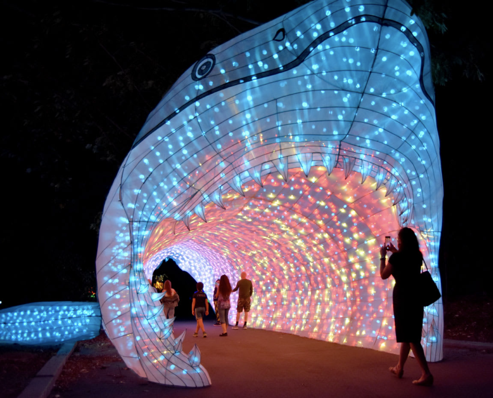 Lantern Experience at Franklin Park Zoo