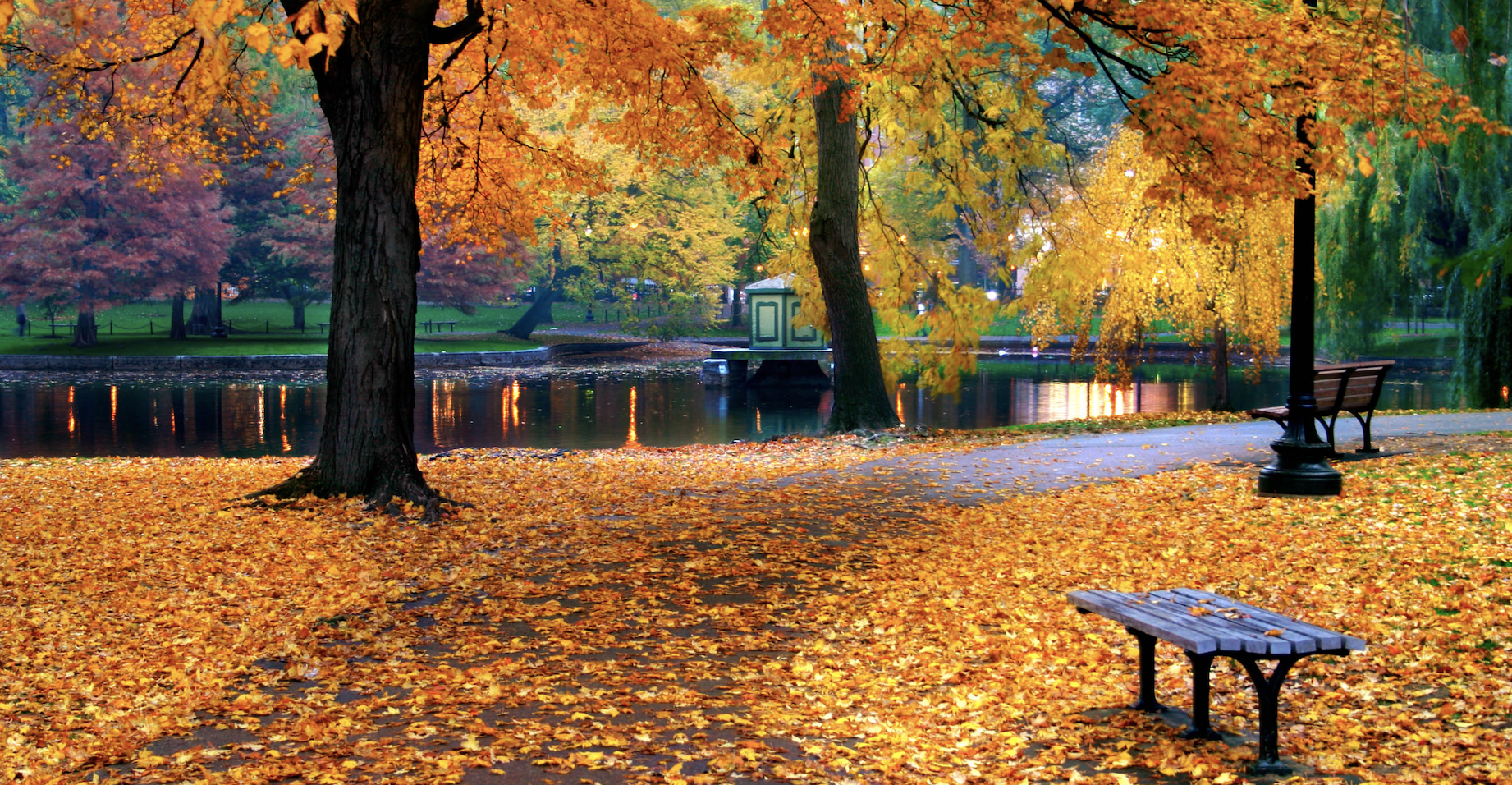 7 places to see Fall foliage around Boston