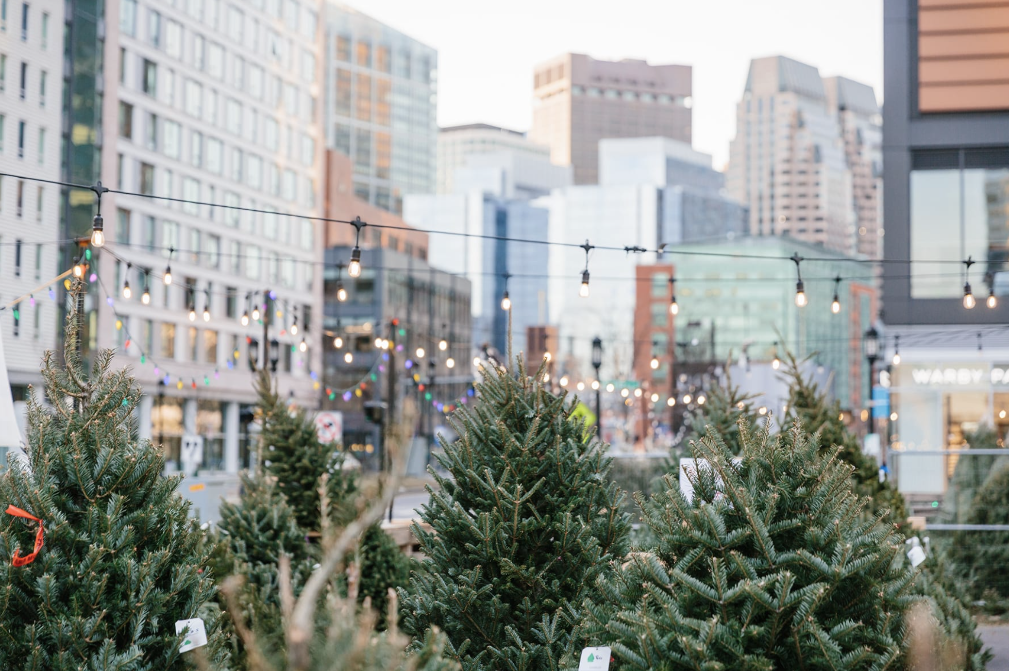The Tree Market at Seaport