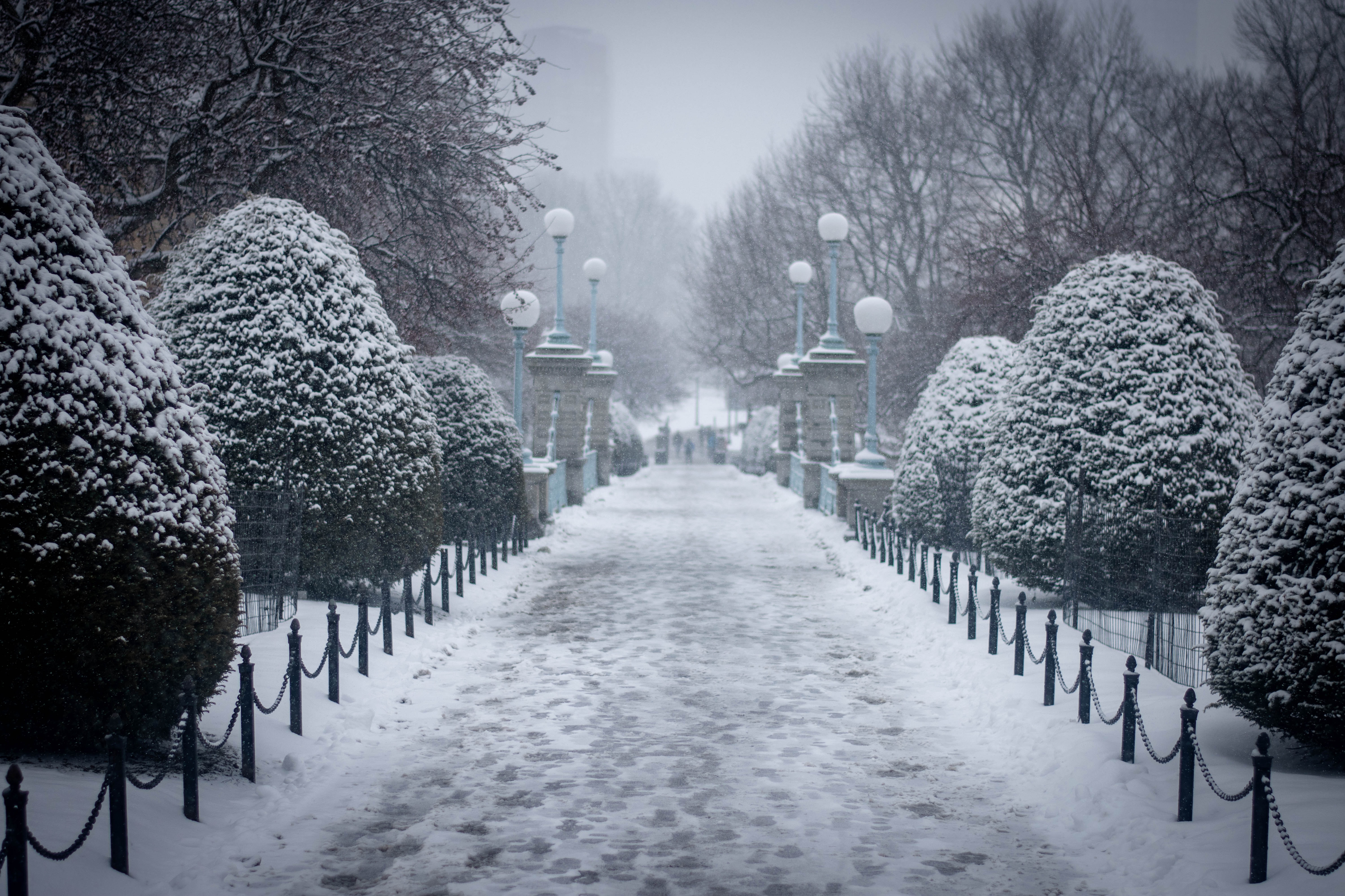 Snow in Boston Public Garden