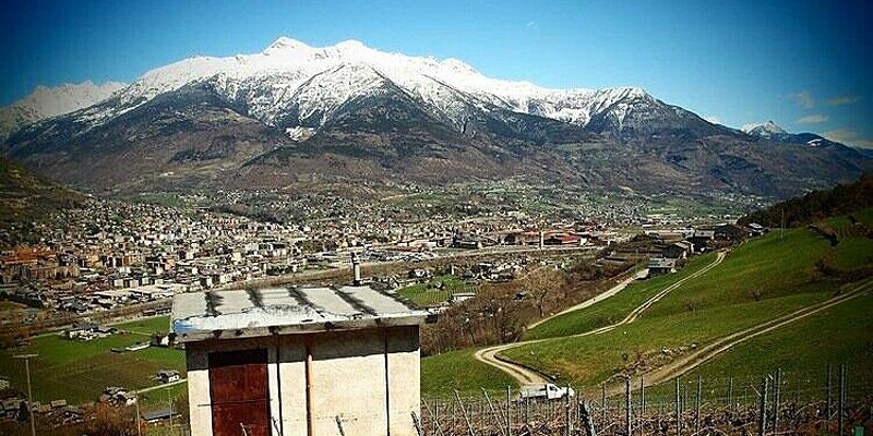 Rebel Rebel Wine Class: Alpine Italy