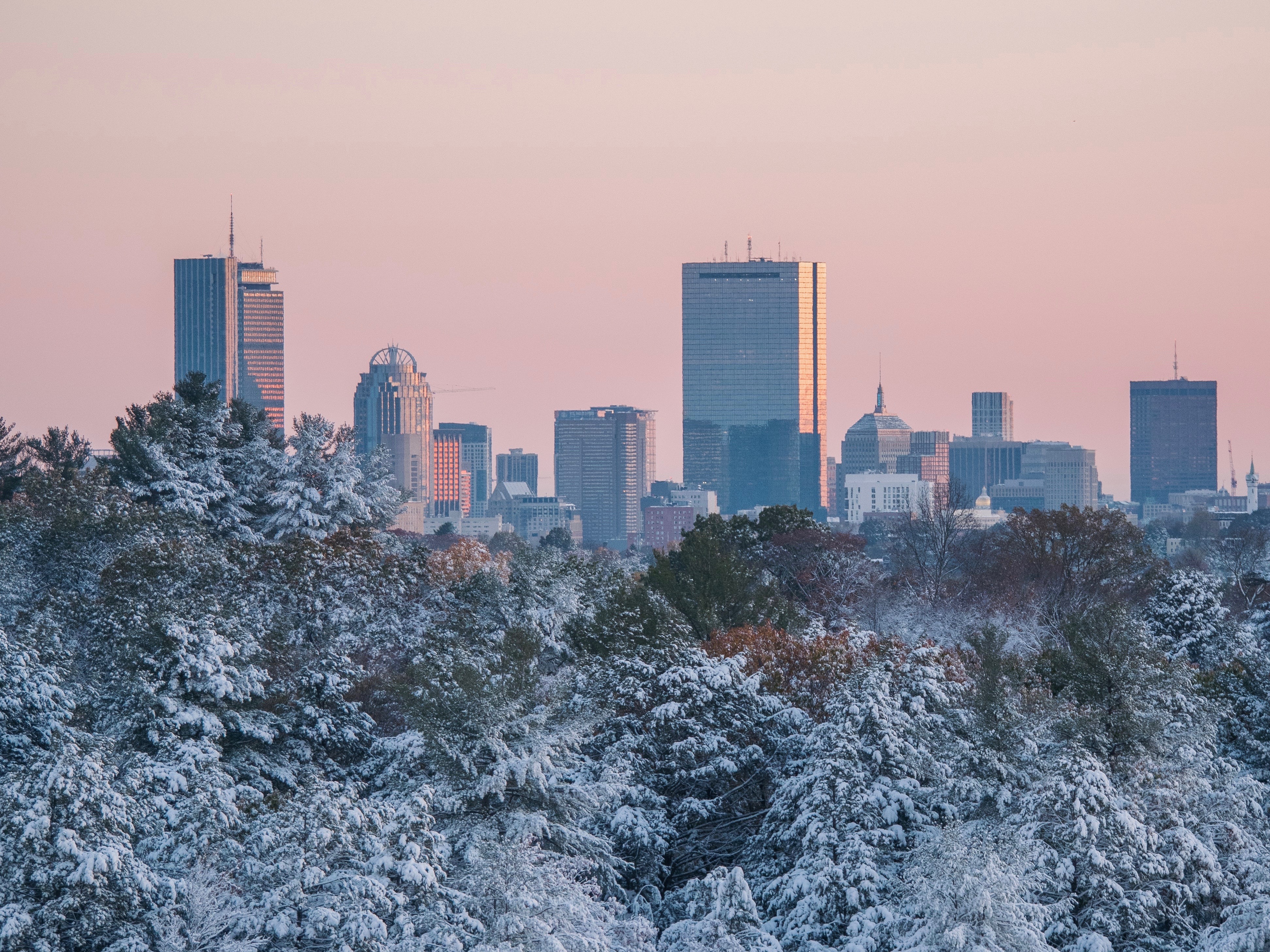 Boston skyline from Arnold Arboretum