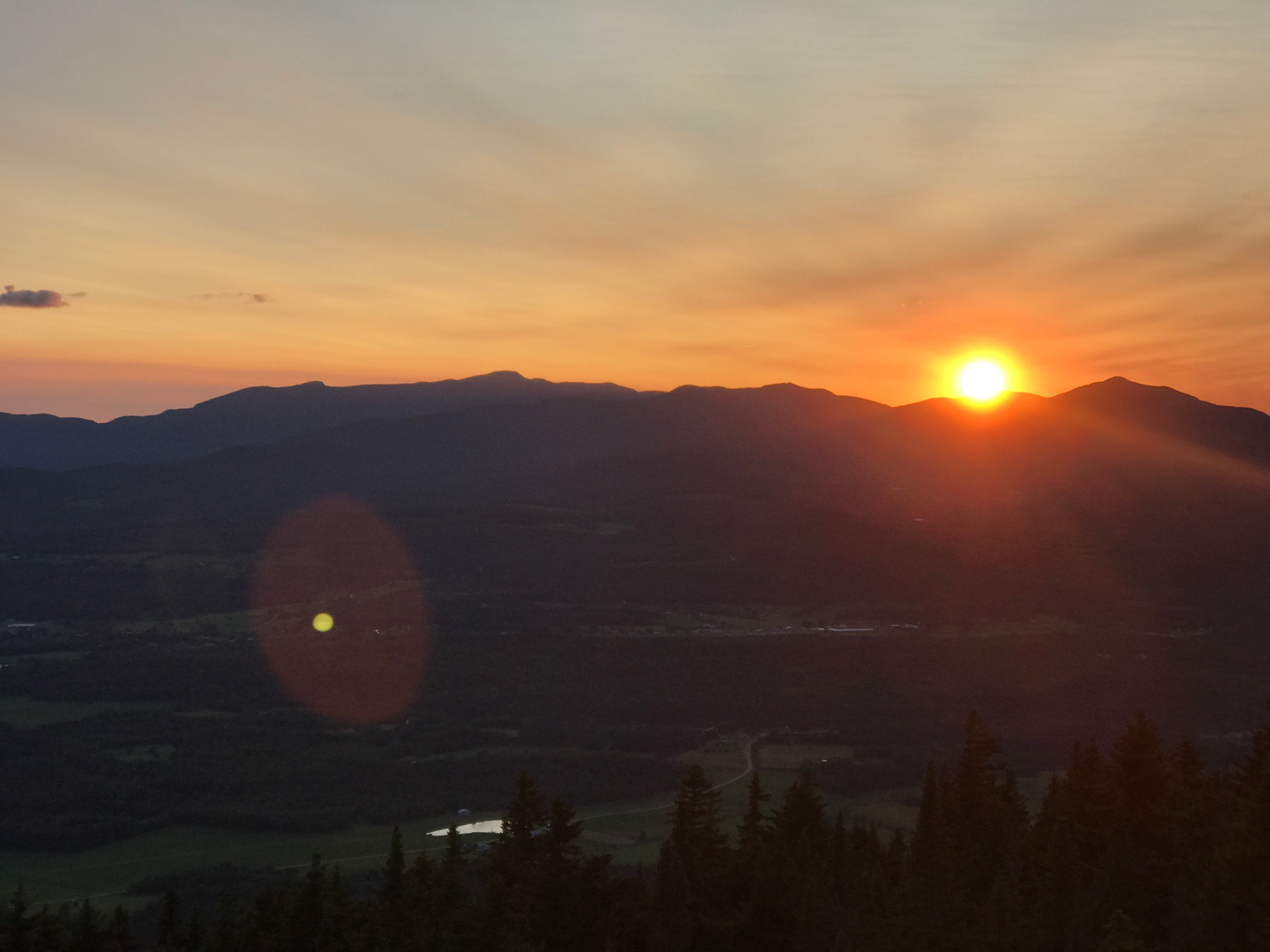 MSI Realty MSI Real Estate