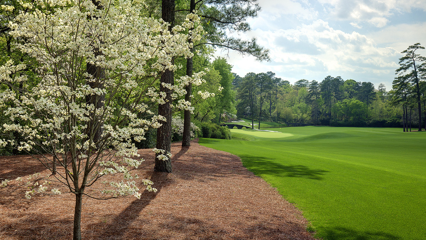 Augusta National's Hole #11 (White Dogwood). Photo from The Masters website.