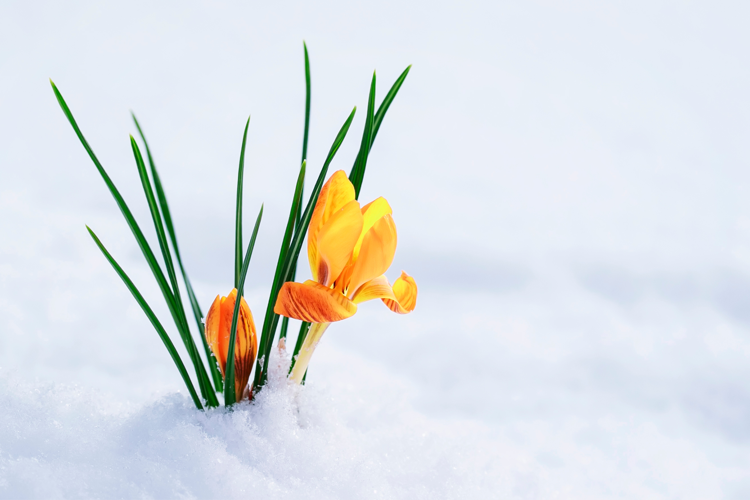 Boulder Real Estate Market Stats | April 2022 | PorchLight Real Estate Group