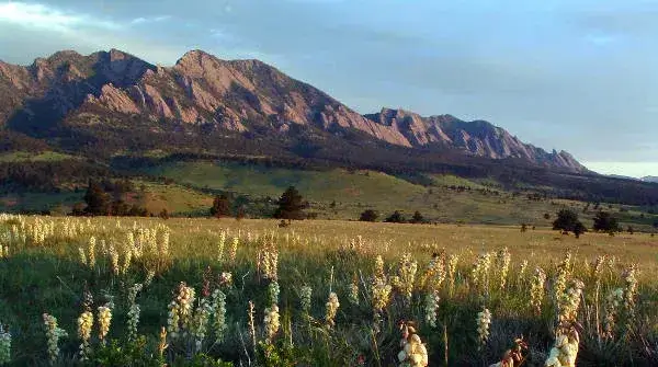Boulder