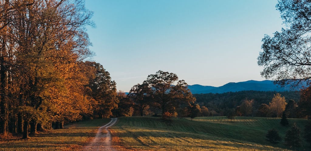 Candler North Carolina