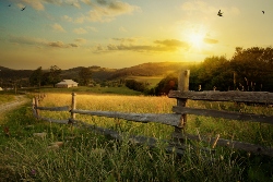 Farmland In South Carolina
