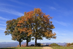Hendersonville, North Carolina