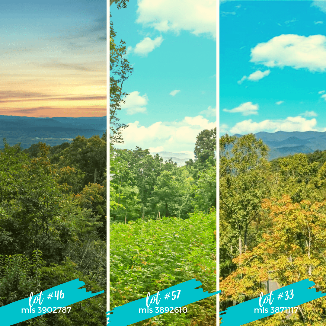 IMAGES OF LOT 46, 57, AND 33