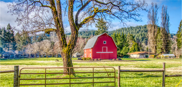 Red Farm house with tree in foreground