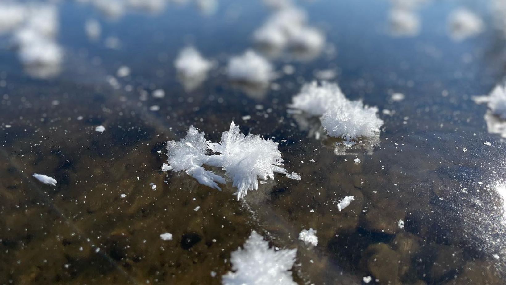 Frost Flowers at Deep Creek Lake, MD