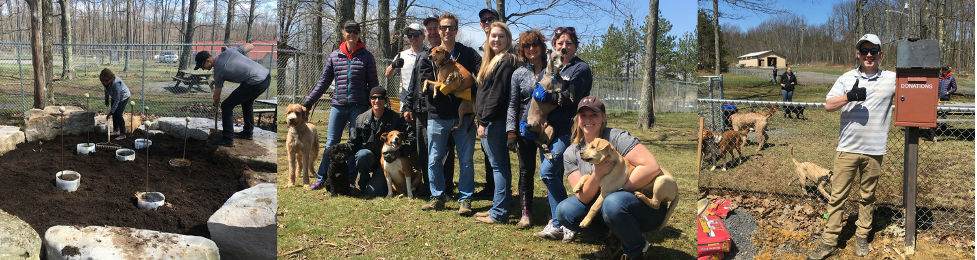 Railey Realty Team Volunteering at Deep Creek Lake