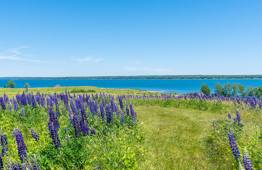 De Raat Realty De Raat Realty