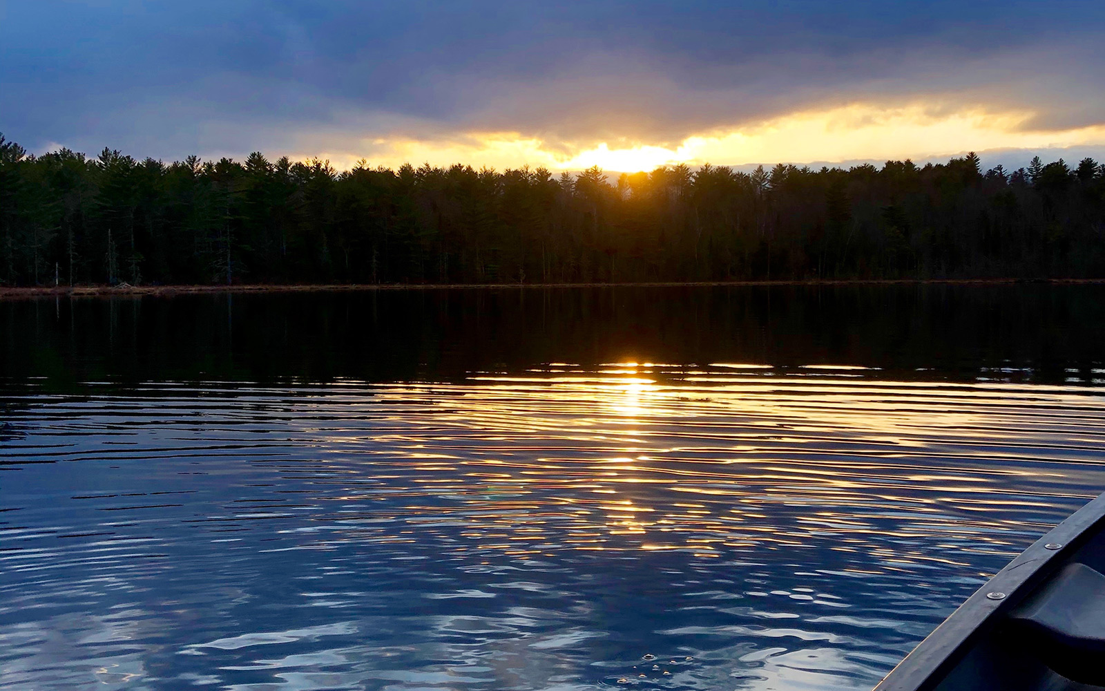 Recommended Searches