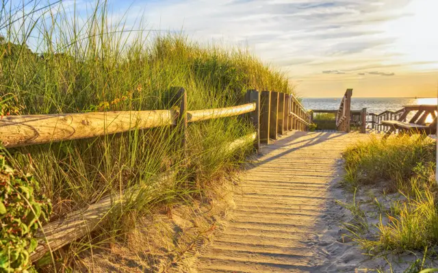 Beach along sandy beach