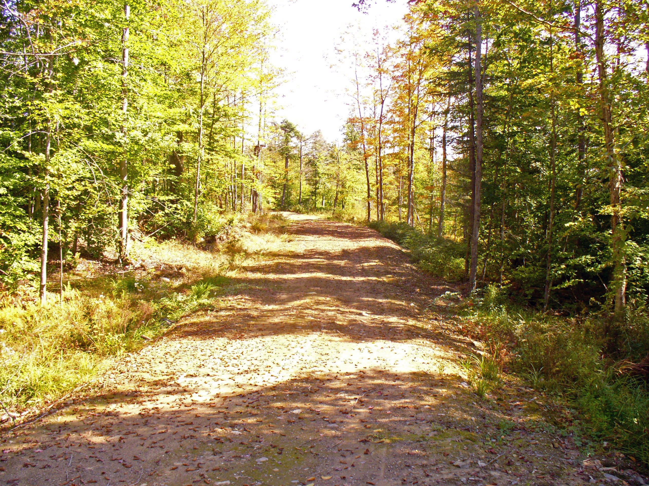 stratton mountain gondola