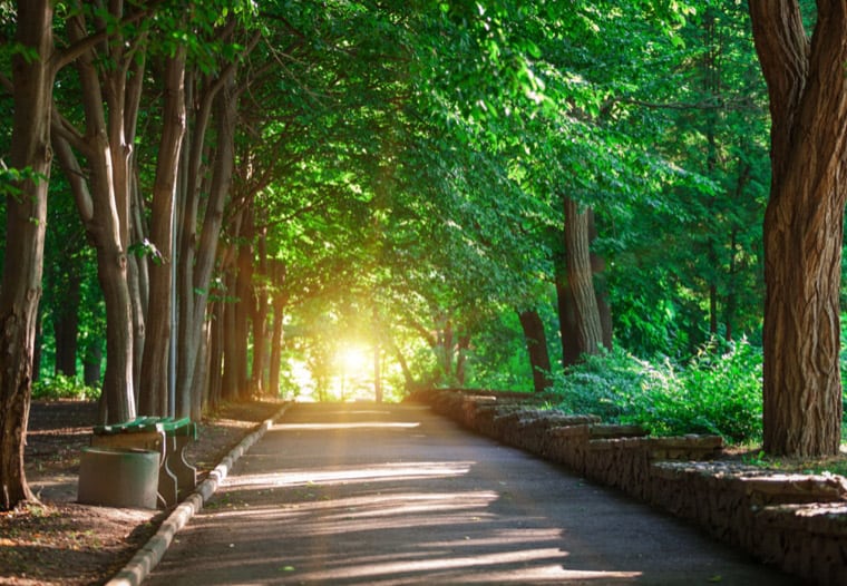 Boston suburban neighborhood