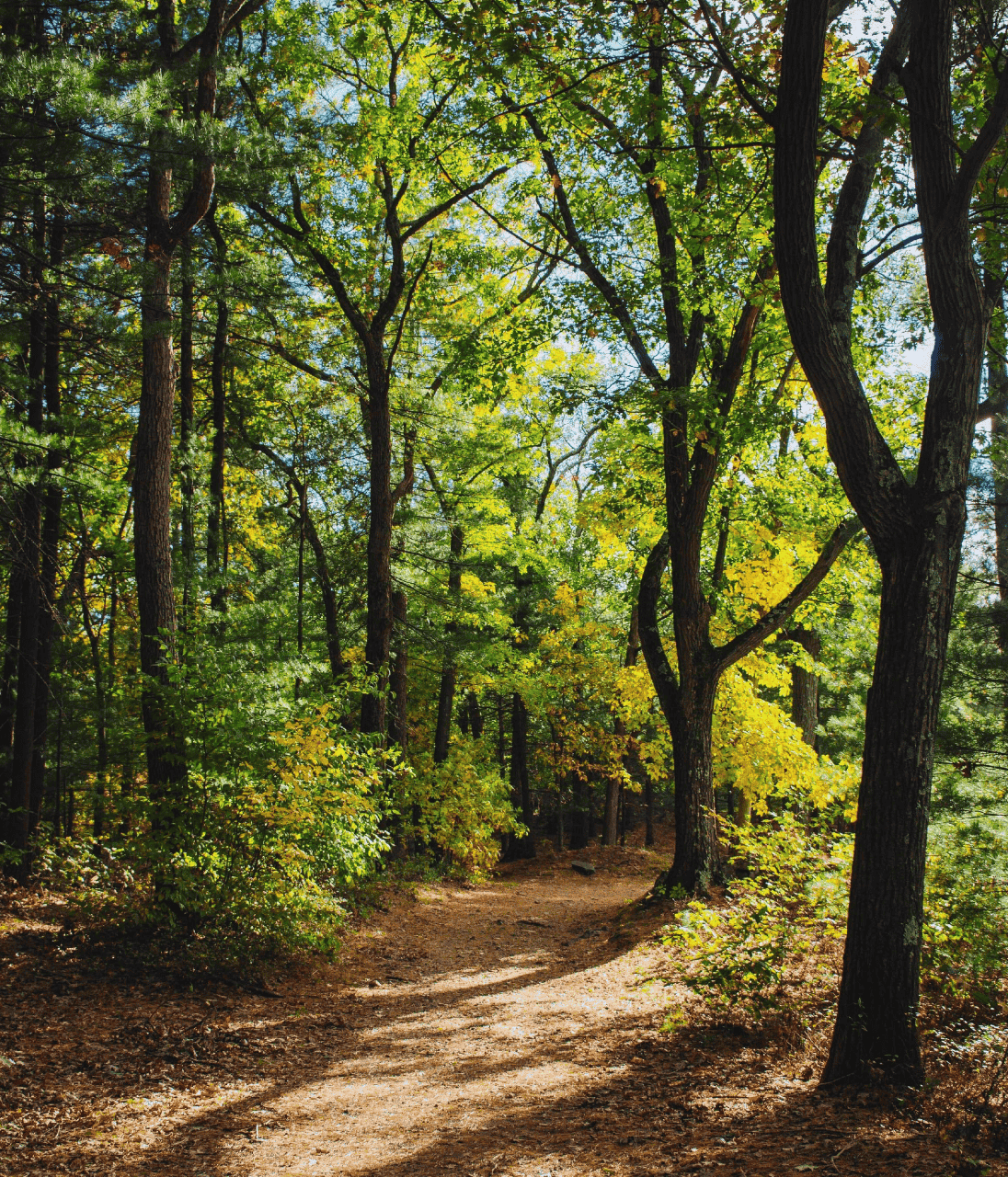 Outdoors & Recreation