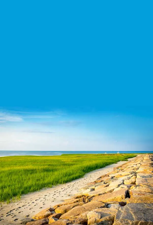 South Shore
