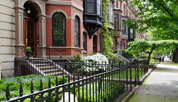 back bay
