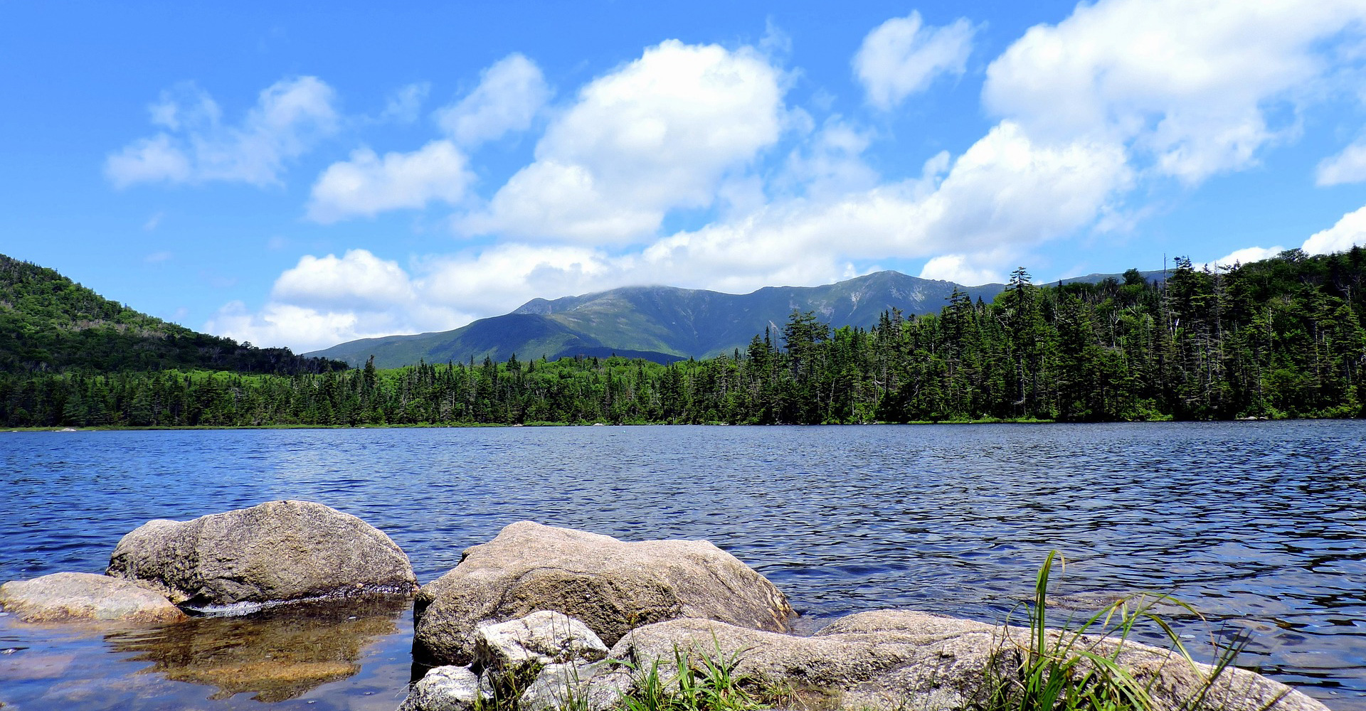 Medium Sized Kitchen in Single Family Home