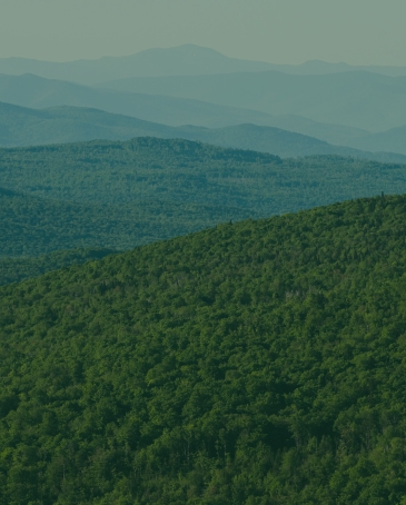 background image of Green Mountains