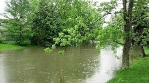 A Photo of a Pond in New England During the Rain