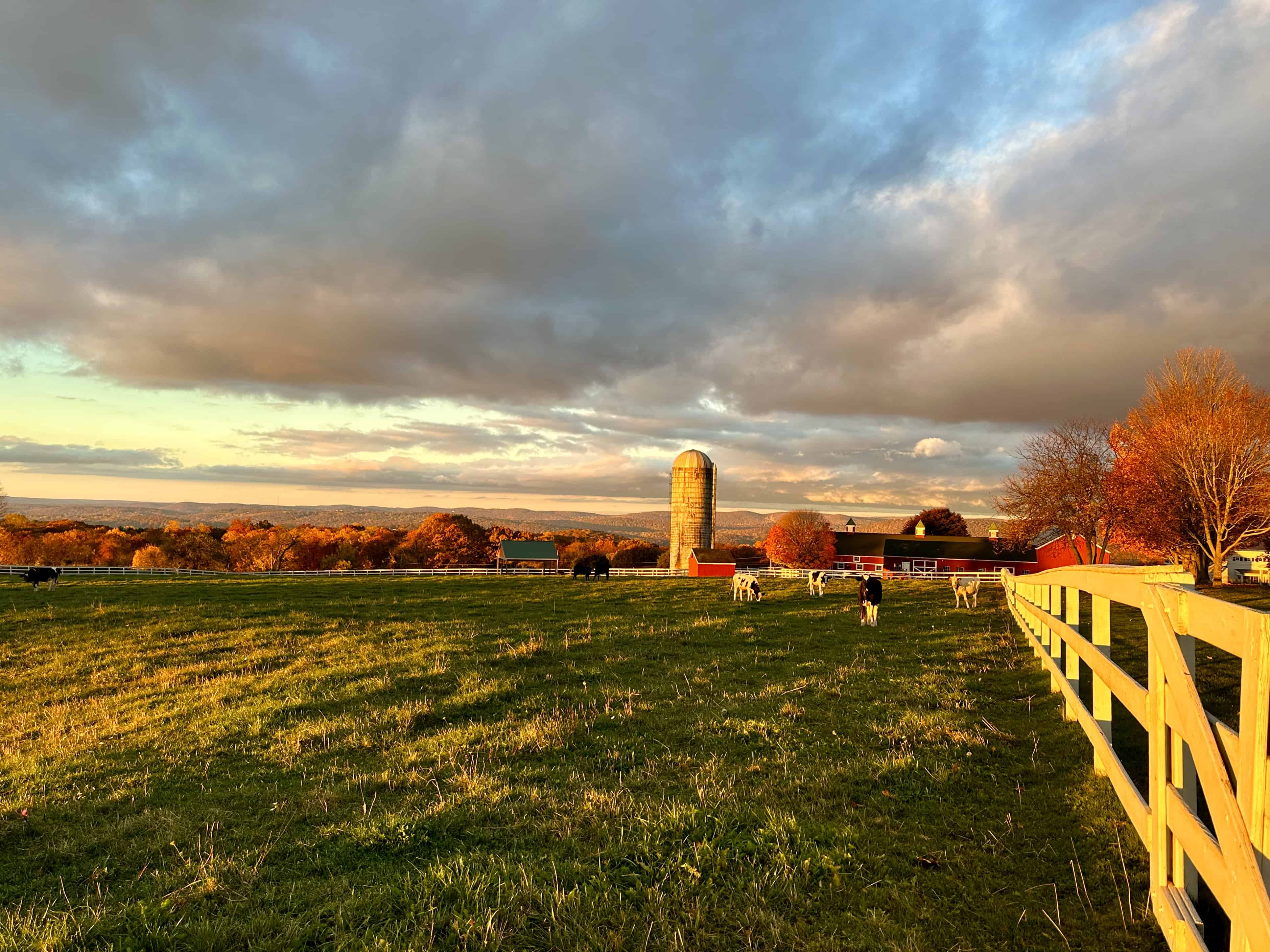 Bridgewater Real Estate