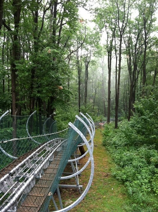 Mountain Coaster at Wisp Resort | Deep Creek Lake