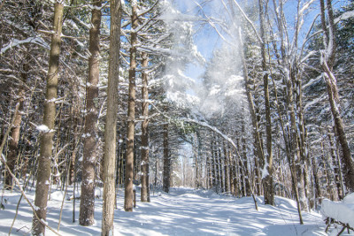 Winter in Garrett County, Maryland