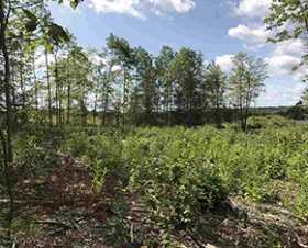 245 Province Road in Barnstead, NH