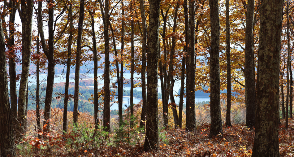 North Quabbin Hampshire County