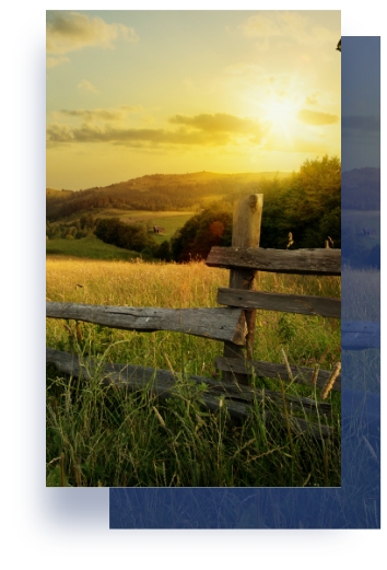 Fence in foreground of a green field