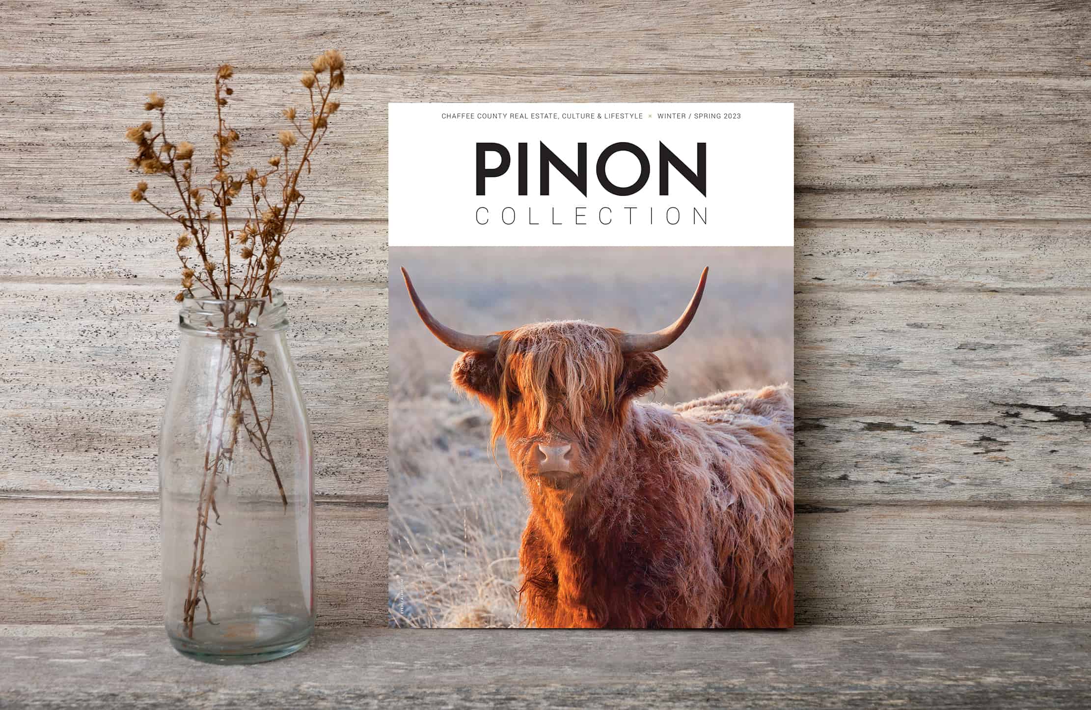The Pinon Collection Pinon Real Estate Group, LLC