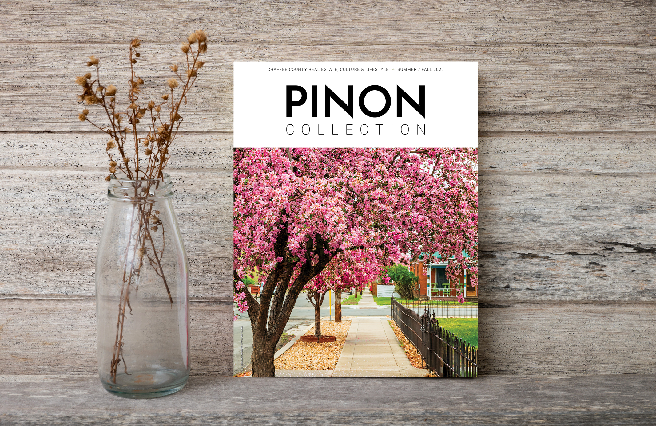 Pinon Collection