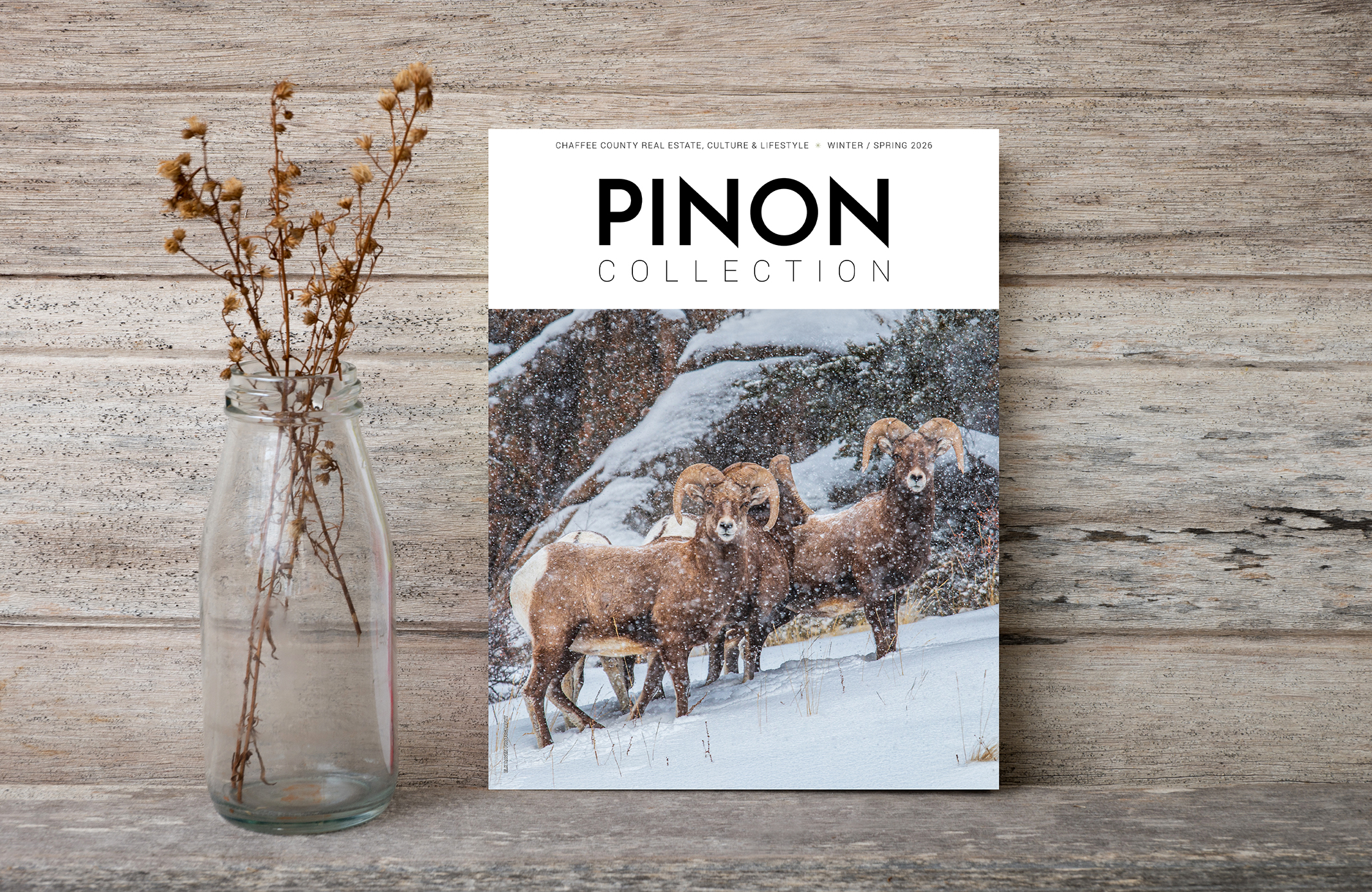 Pinon Collection