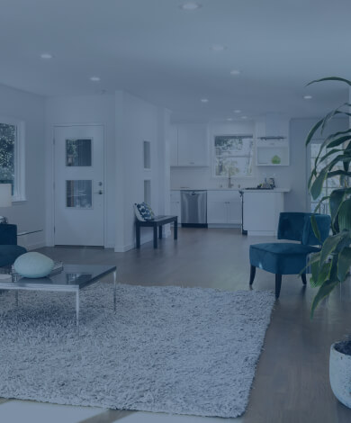 Living room interior