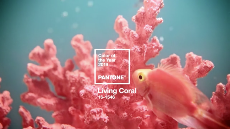 Pantone Color of the Year