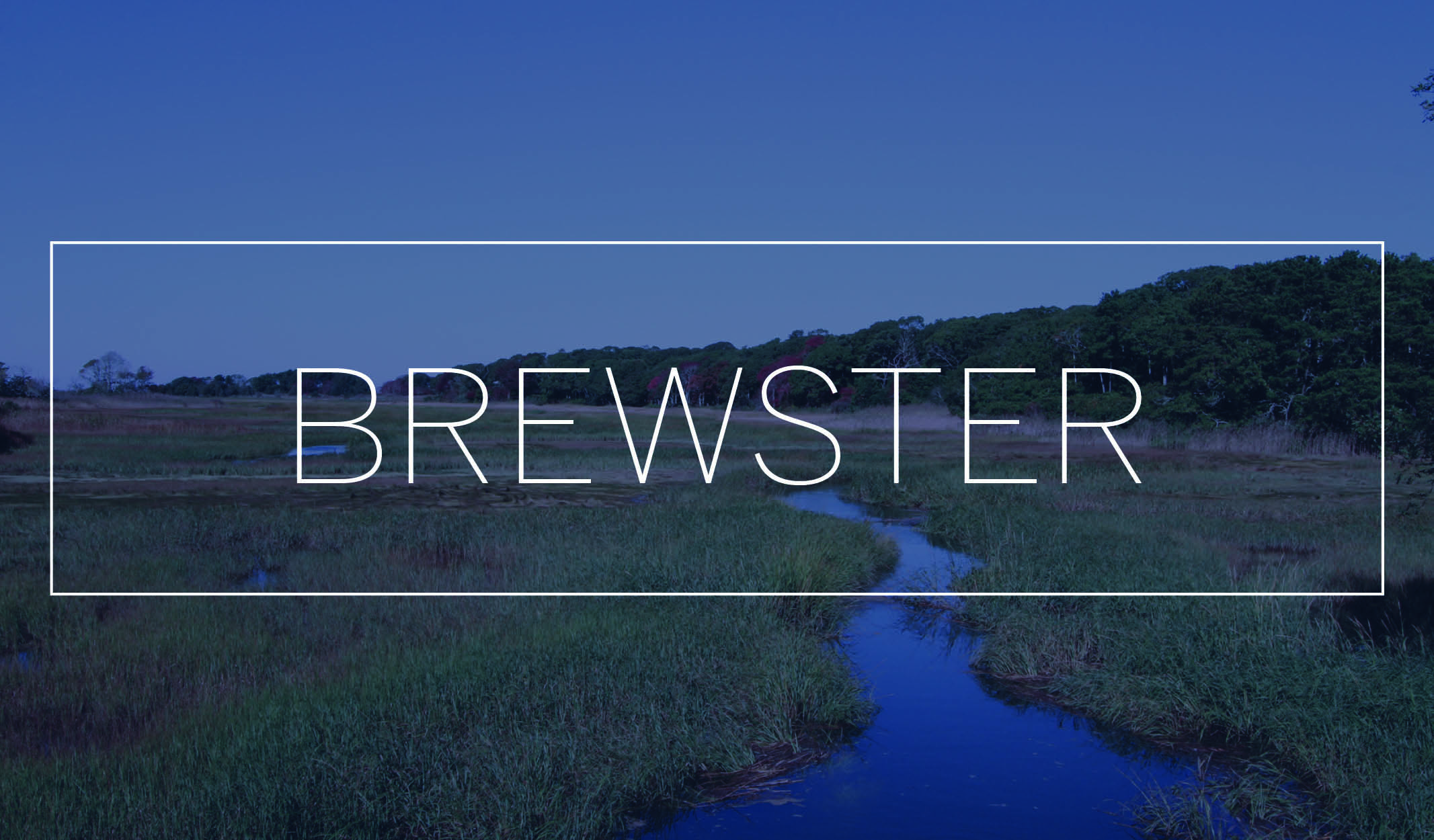 brewster