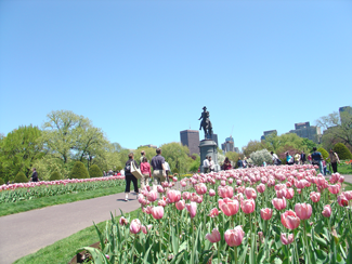 Spring in Boston's Back Bay