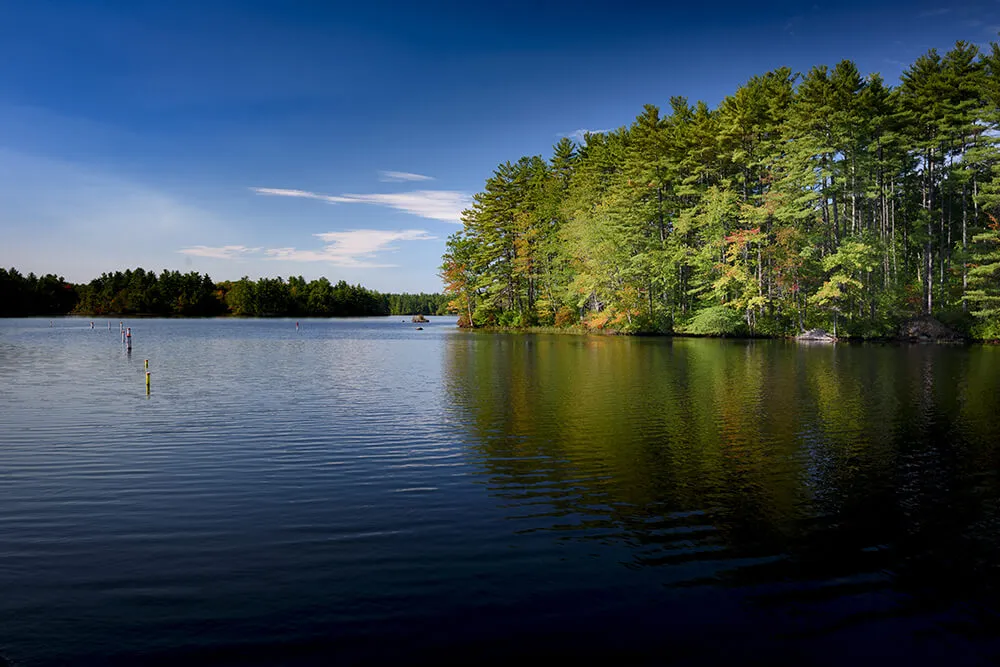 lake with trees by edge