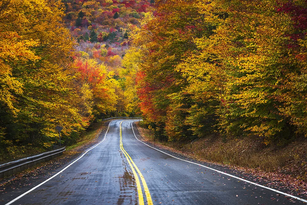 highway in the fall