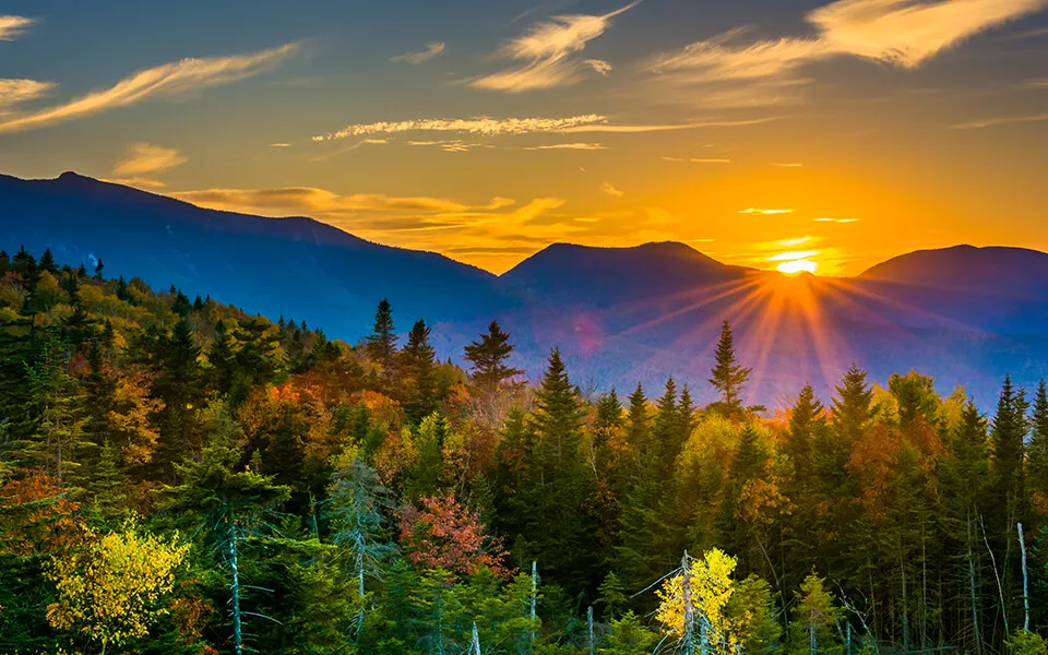 sunset over forest