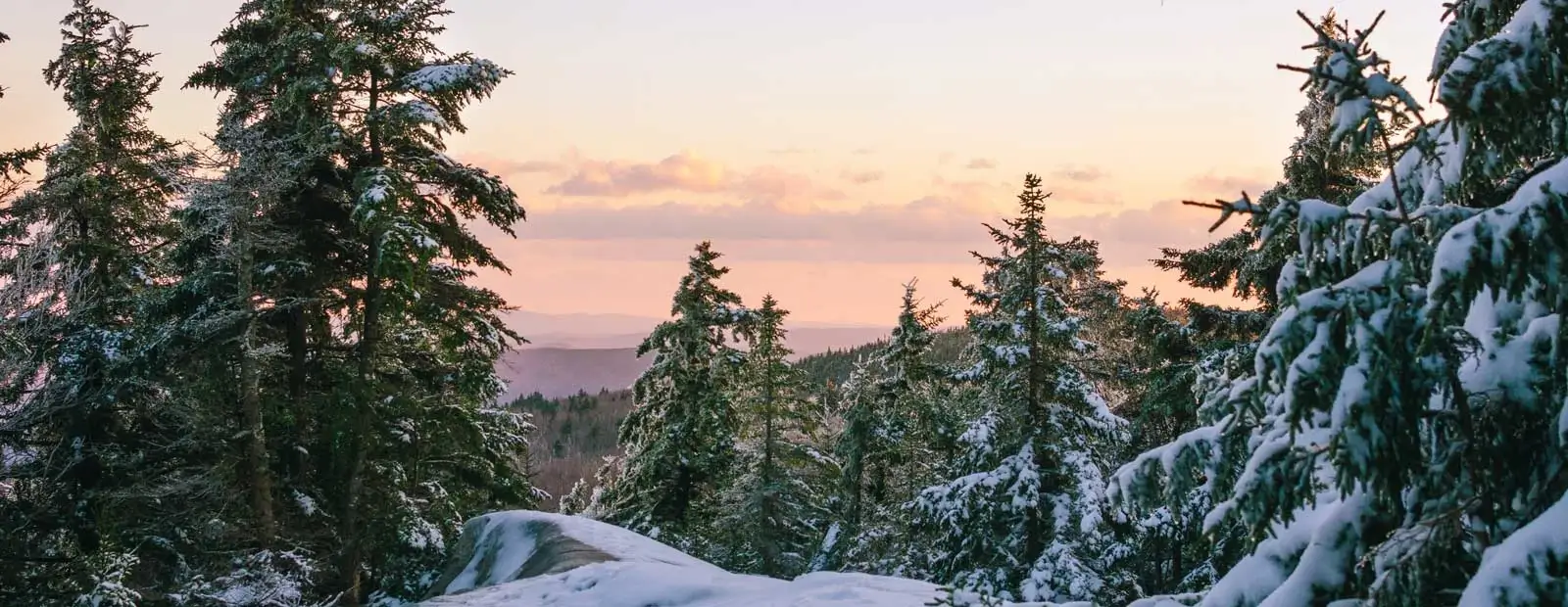 Recommended Searches