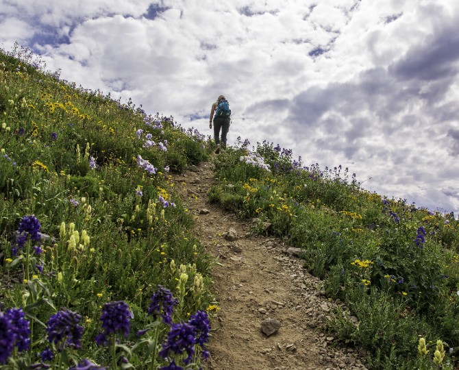 Telluride Real Estate Corp.