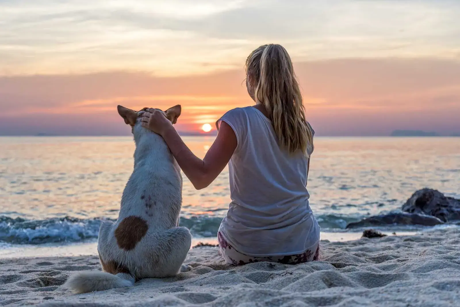 woman and dog watching sunset over ocean