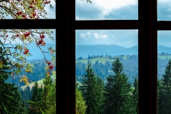 Mountain View from Home in Vermont