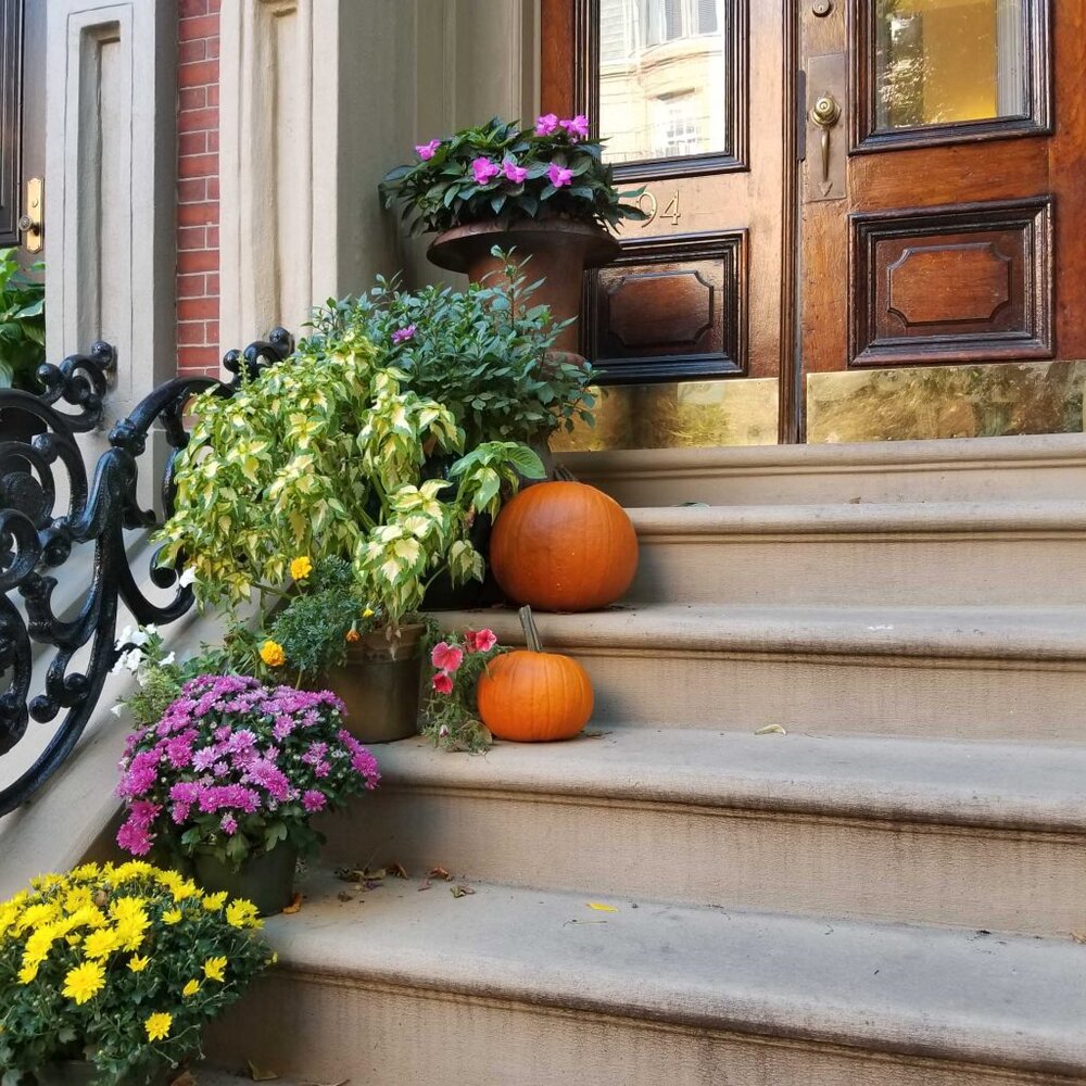 Pricing Boston condos